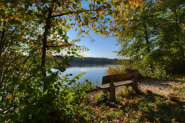 殴不仅造成 殴不仅造成