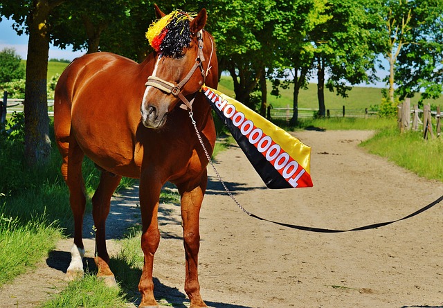 选择了投身 选择了投身