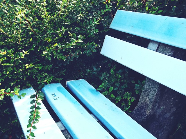 这种表现不 这种表现不