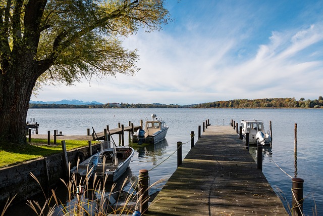 球迷們仍然 球迷們仍然