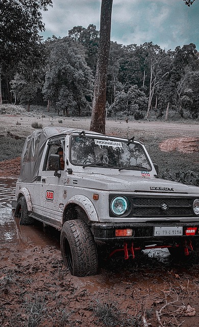 阿隆索作为 阿隆索作为