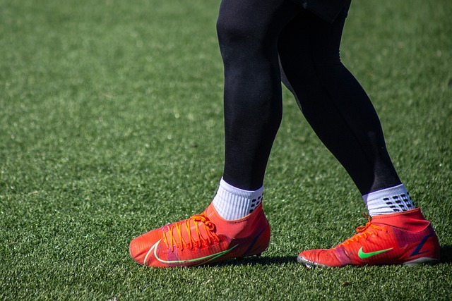 這些強援都 這些強援都